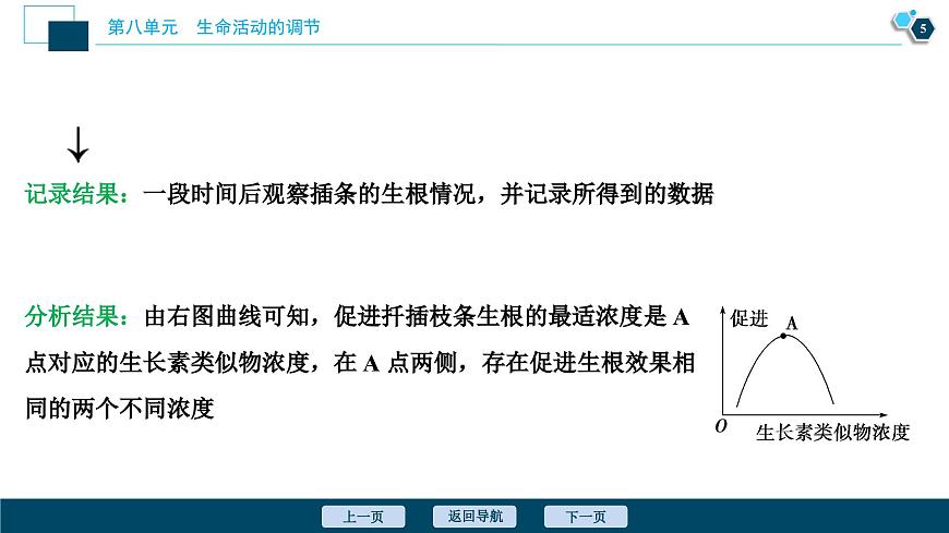 高中生物高考10 第八單元 加強(qiáng)提升課(8) 植物激素調(diào)節(jié)相關(guān)實(shí)驗(yàn)探究課件PPT第6頁(yè)