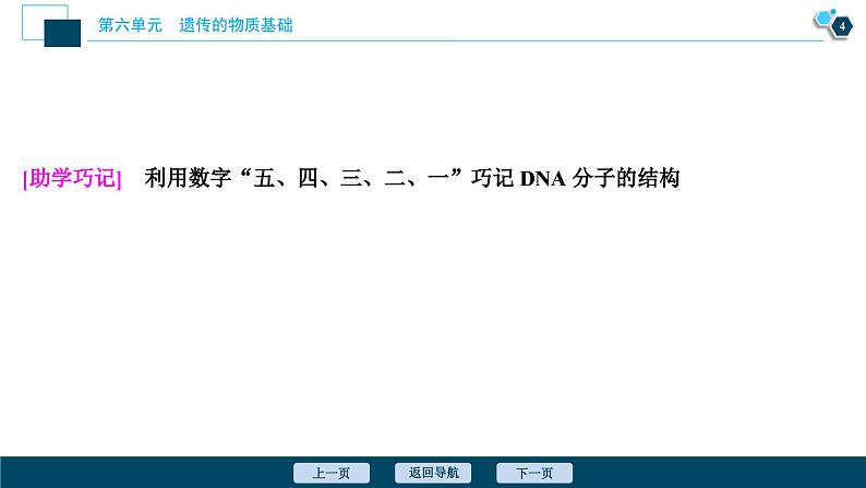高中生物高考2 第18讲 DNA分子的结构、复制及基因的本质课件PPT第5页