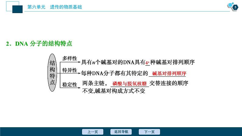 高中生物高考2 第18讲 DNA分子的结构、复制及基因的本质课件PPT第6页