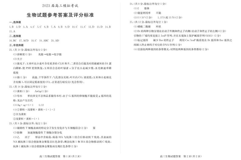 2023届山东省枣庄市高三下学期3月二模考试生物PDF版含答案01
