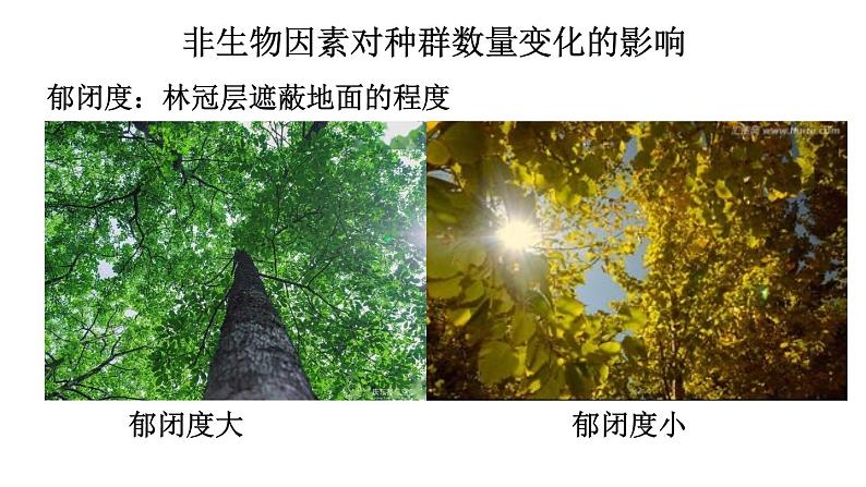 高中生物选择性必修二 1 3 影响种群·数量变化的因素 课件练习题第4页