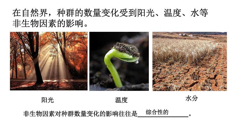 高中生物选择性必修二 1 3 影响种群·数量变化的因素 课件练习题第6页