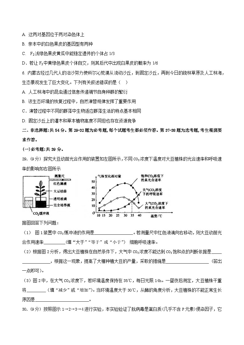 必刷卷03(原卷版)第3页