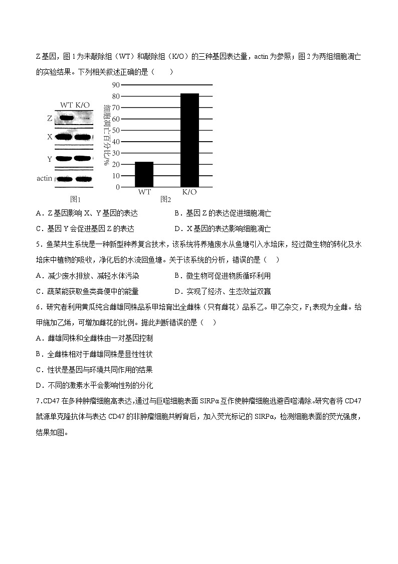 必刷卷05——【高考三轮冲刺】2023年高考生物考前20天冲刺必刷卷(北京专用)(原卷版)第3页