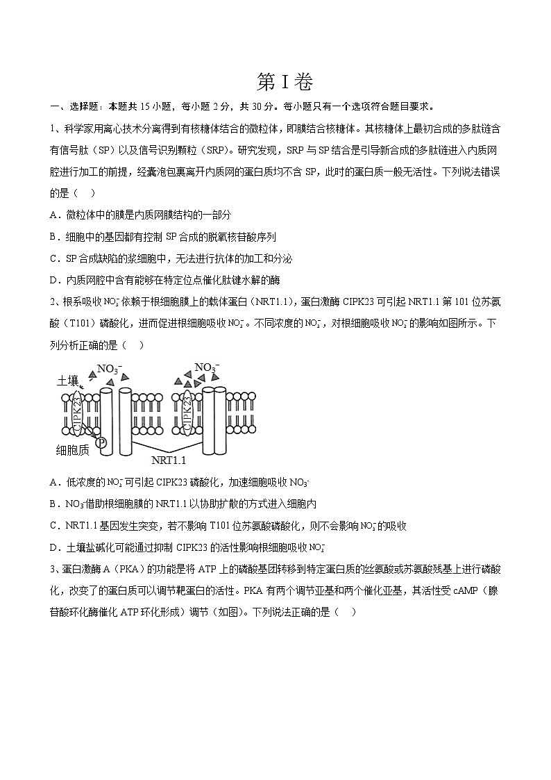 必刷卷02——【高考三轮冲刺】2023年高考生物考前20天冲刺必刷卷(山东卷)(原卷版+解析版)02