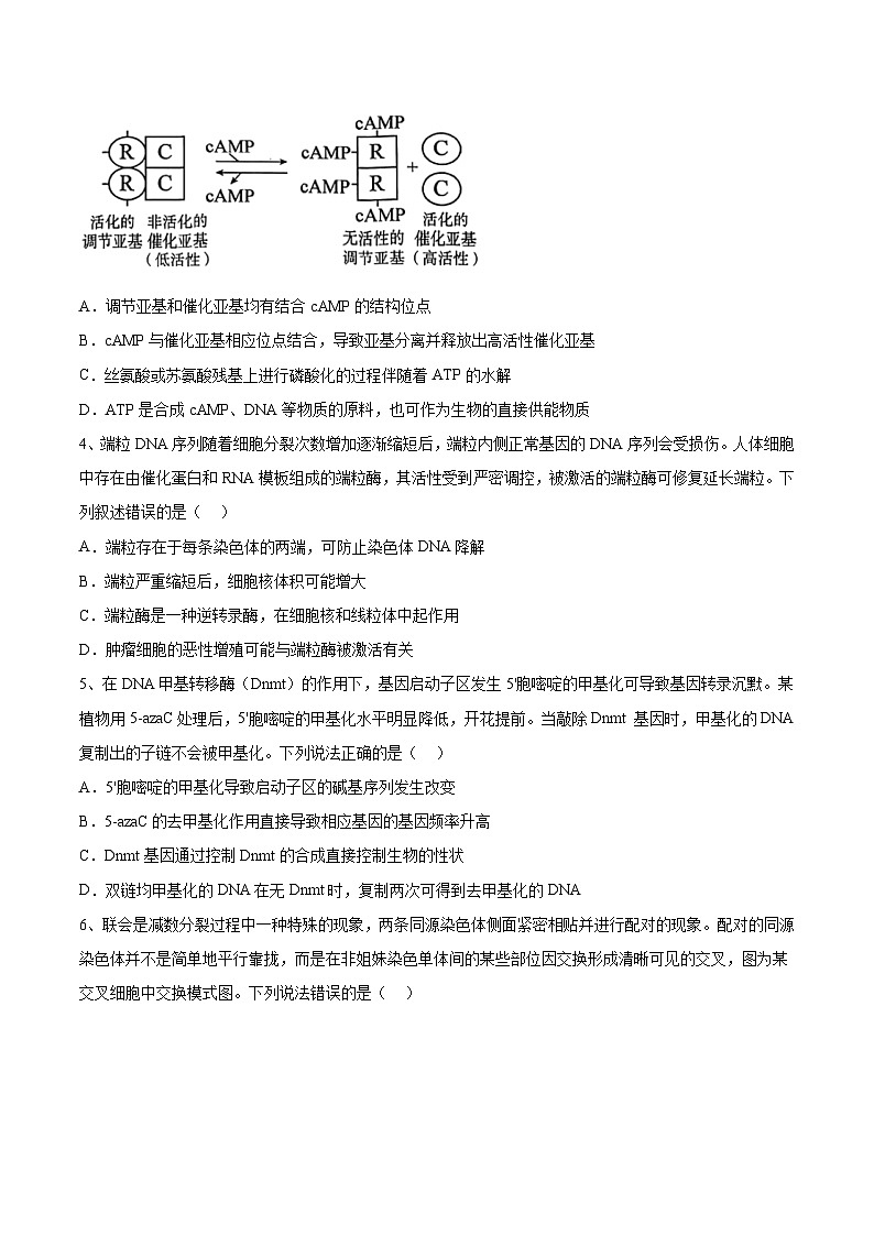 必刷卷02——【高考三轮冲刺】2023年高考生物考前20天冲刺必刷卷(山东卷)(原卷版+解析版)03