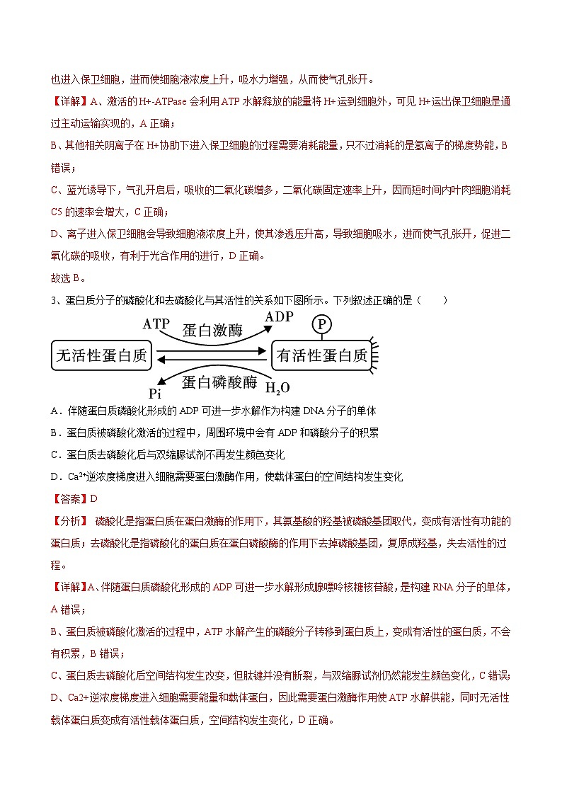 必刷卷05——【高考三轮冲刺】2023年高考生物考前20天冲刺必刷卷(山东卷)(原卷版+解析版)03