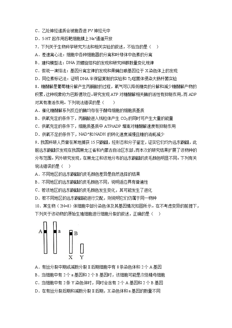 必刷卷01(原卷版)第3页