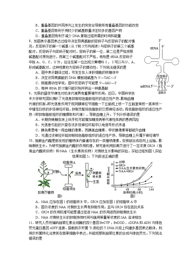 必刷卷05——【高考三轮冲刺】2023年高考生物考前20天冲刺必刷卷(广东专用)(原卷版+解析版)03