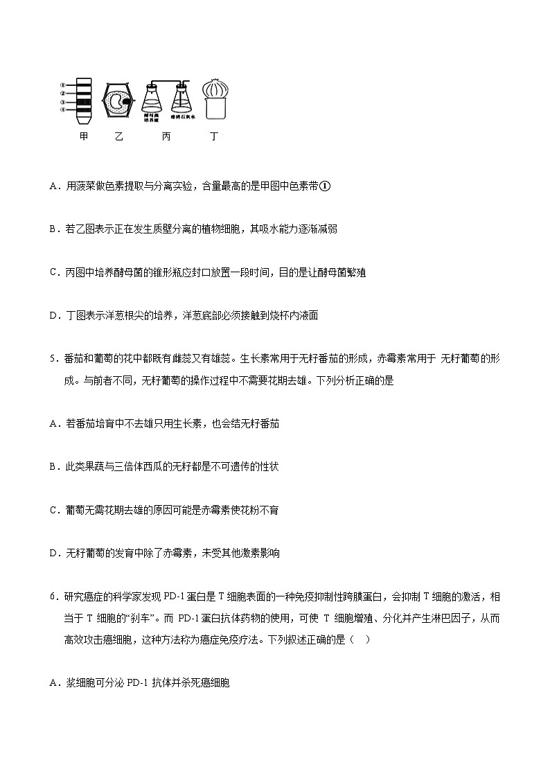 必刷卷02(原卷版)第3页