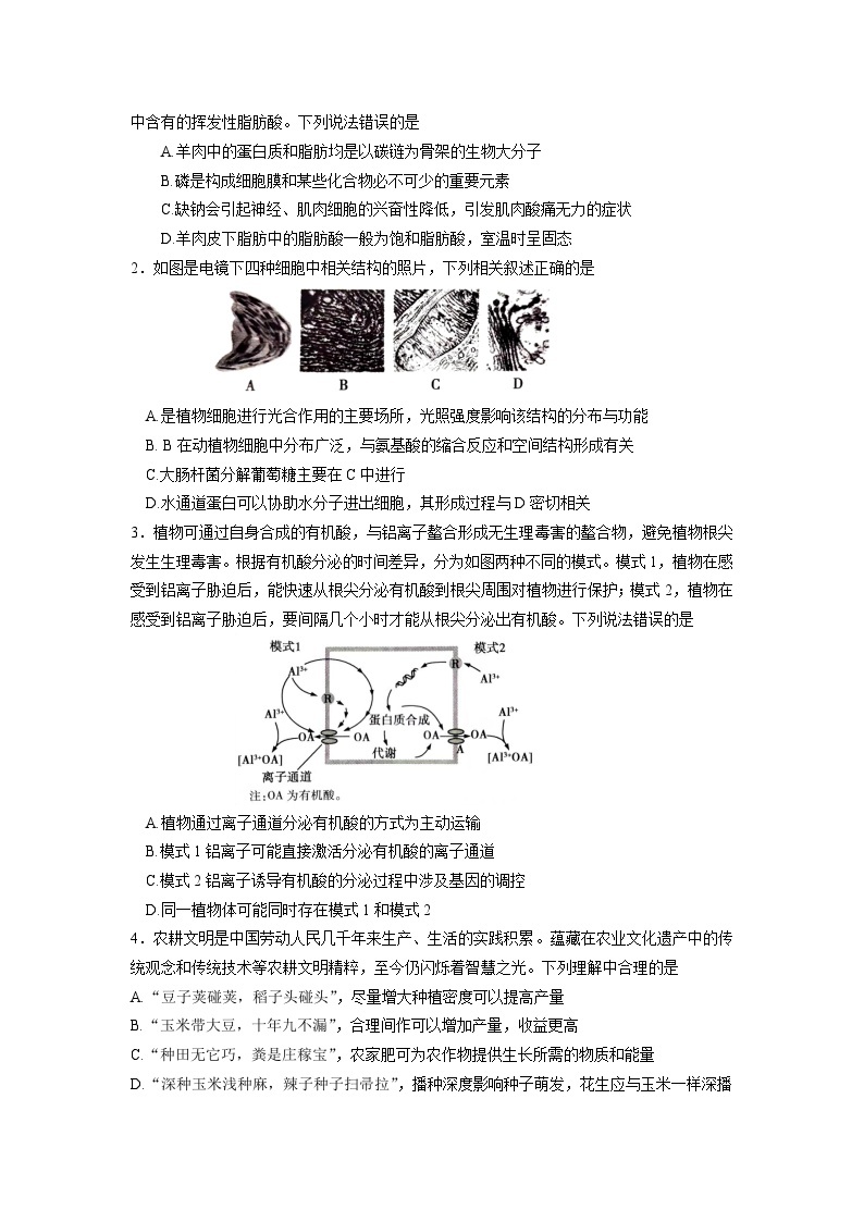 必刷卷01——【高考三轮冲刺】2023年高考生物考前20天冲刺必刷卷（湖南专用）（原卷版+解析版）02