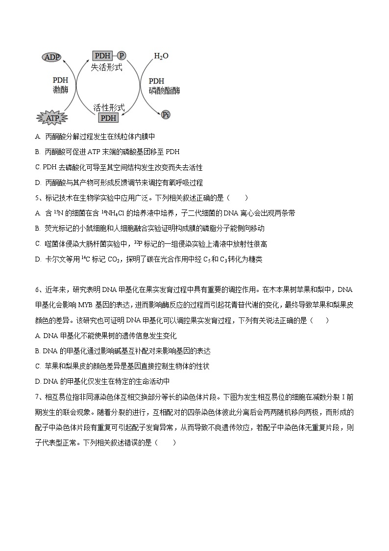 必刷卷05——【高考三轮冲刺】2023年高考生物考前20天冲刺必刷卷（福建卷）（原卷版+解析版）03