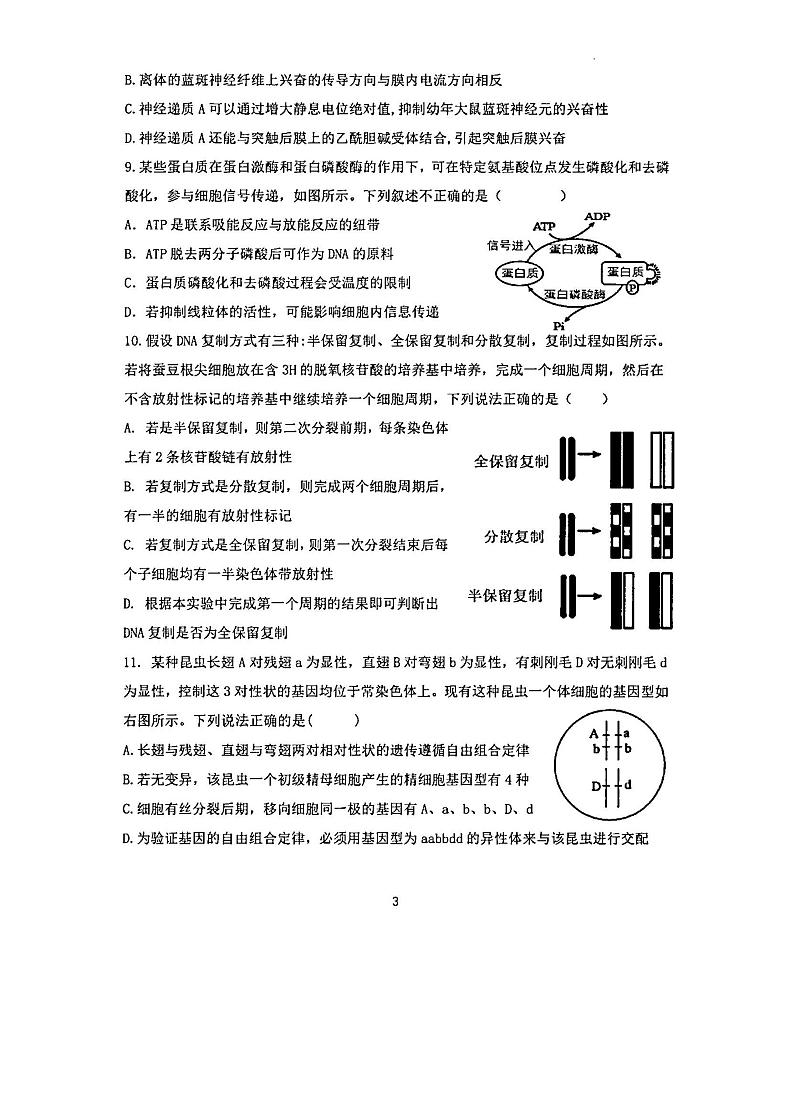 福建省福州市鼓山中学2022-2023学年高三上学期12月月考生物试题03