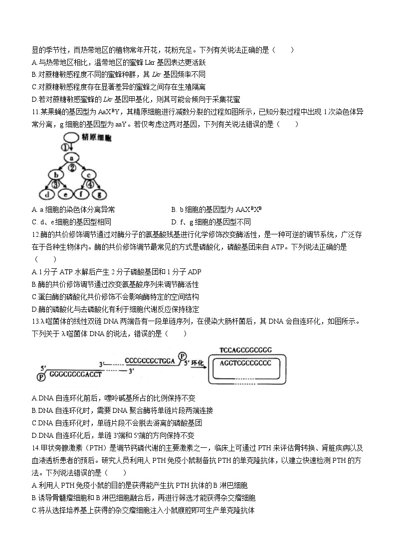 2023届辽宁省抚顺市重点高中六校协作体高三下学期二模联考生物试题03