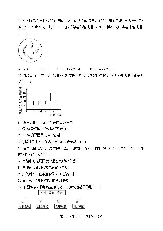 山西省怀仁市第一中学校2022-2023学年高一下学期第二次月考生物试卷+03
