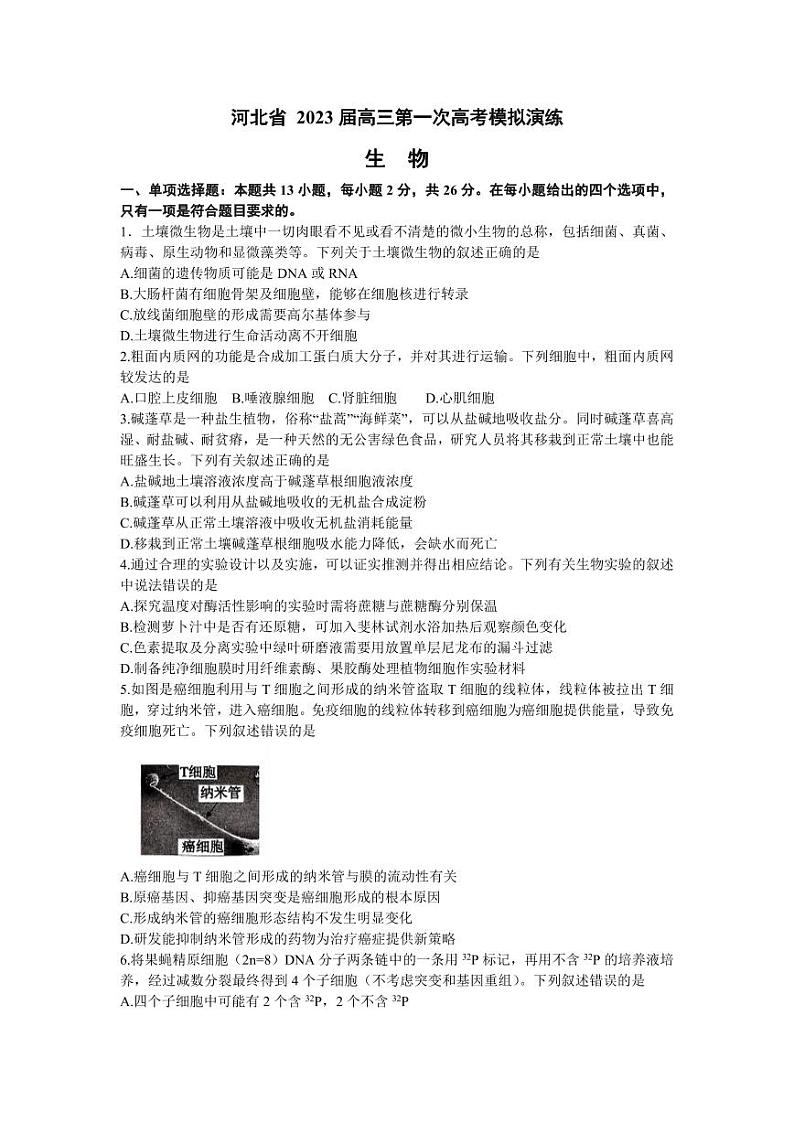 2023届河北省高三第一次高考模拟考试生物试卷附答案01