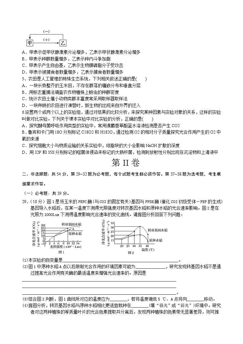 2023年高考押题预测卷02(全国甲卷)-生物(考试版)第2页