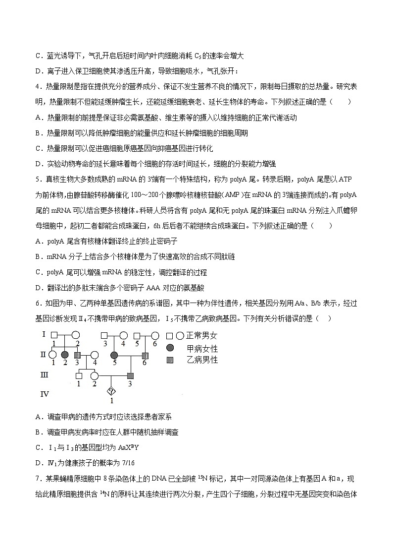 2023年高考押题预测卷03—生物(考试版)02