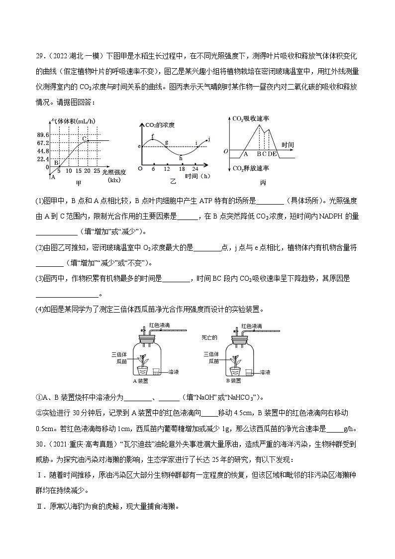 真题重组卷04——2023年高考生物真题汇编重组卷(全国卷)(原卷版)第3页