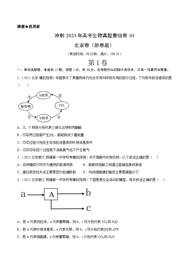 真题重组卷01——2023年高考生物真题汇编重组卷（北京卷）