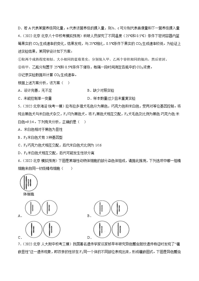 真題重組卷01——2023年高考生物真題匯編重組卷(北京卷)(原卷版)第2頁