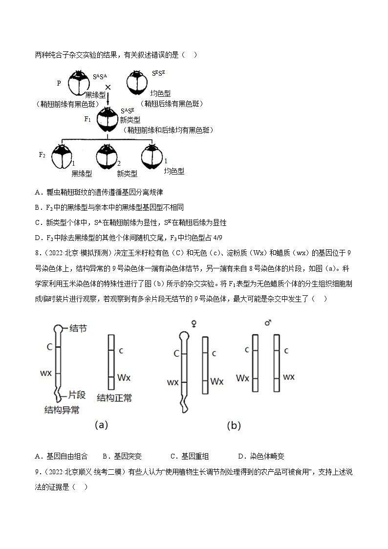 真題重組卷01——2023年高考生物真題匯編重組卷(北京卷)(原卷版)第3頁