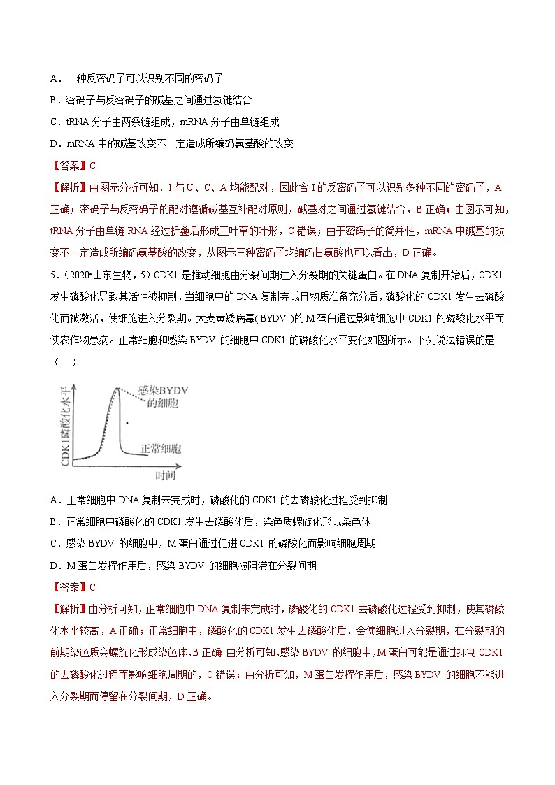 真题重组卷03——2023年高考生物真题汇编重组卷(山东专用)(解析版)第3页