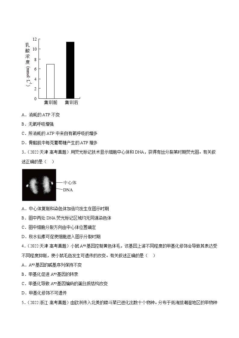 真题重组卷02——2023年高考生物真题汇编重组卷（河北专用）02