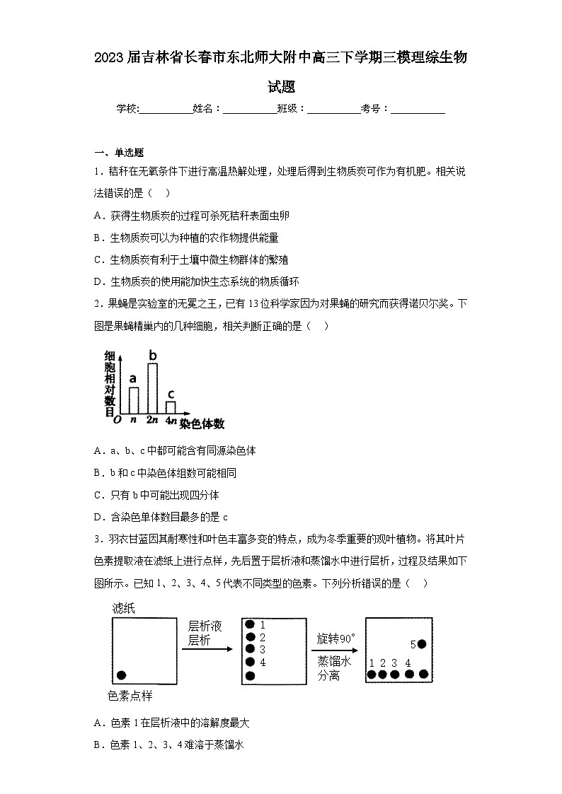 2023屆吉林省長(zhǎng)春市東北師大附中高三下學(xué)期三模理綜生物試題（含答案）第1頁(yè)