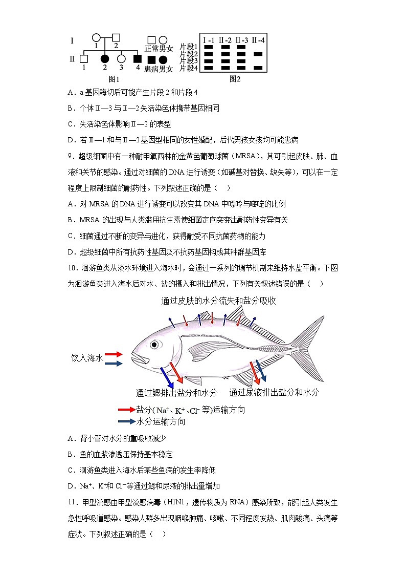 2023届辽宁省农村重点高中协作校高三三模生物试题(含答案)第3页