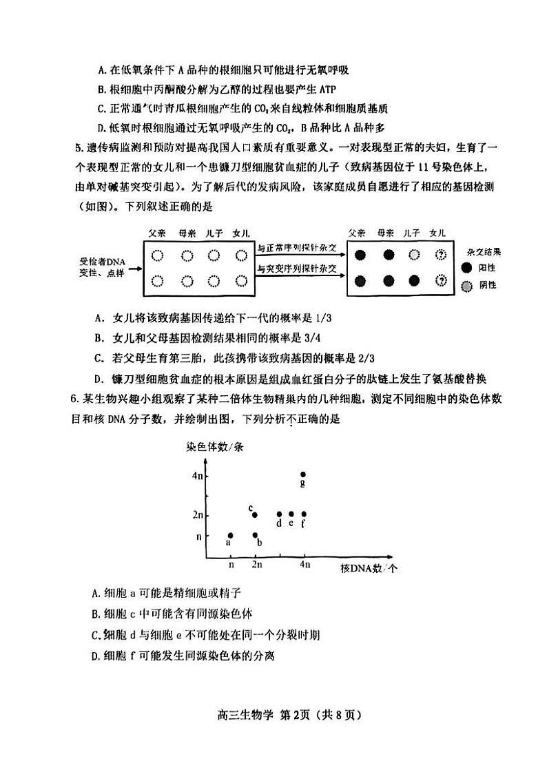 2023年天津河北区高三二模生物试卷含答案解析02