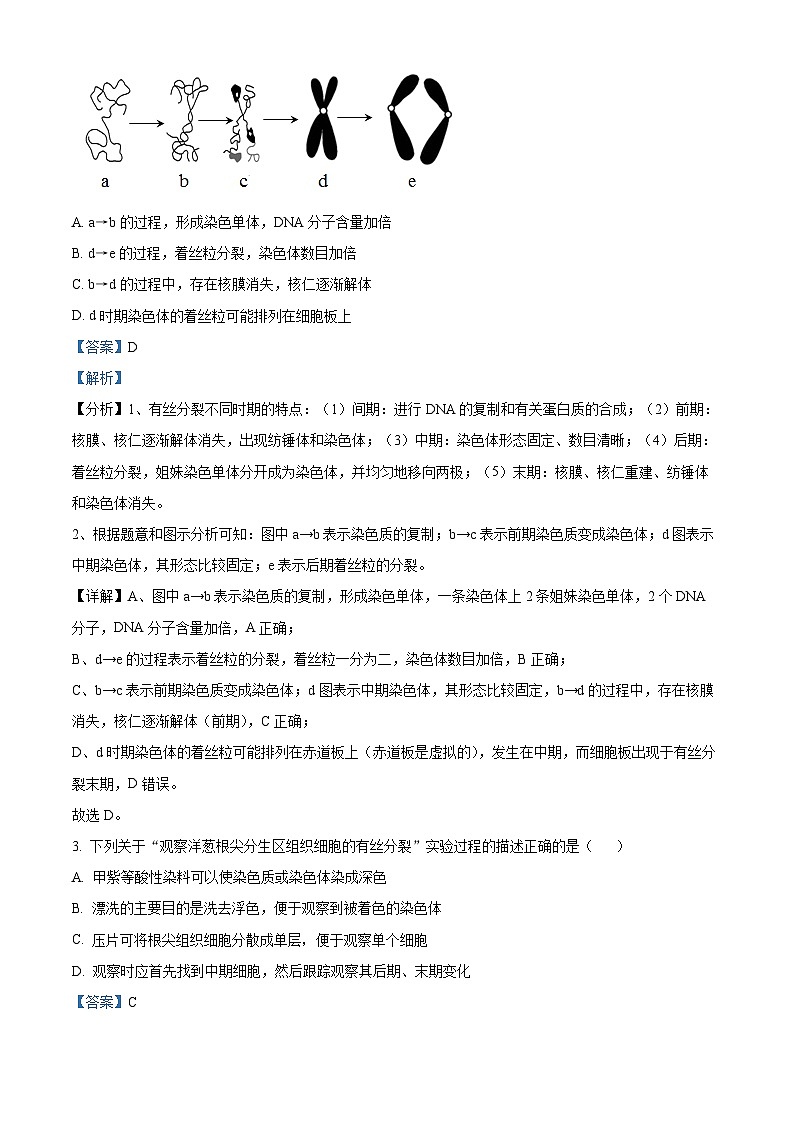 精品解析:甘肃省武威市民勤县一中2022-2023学年高一下学期期中生物试题(解析版)第2页