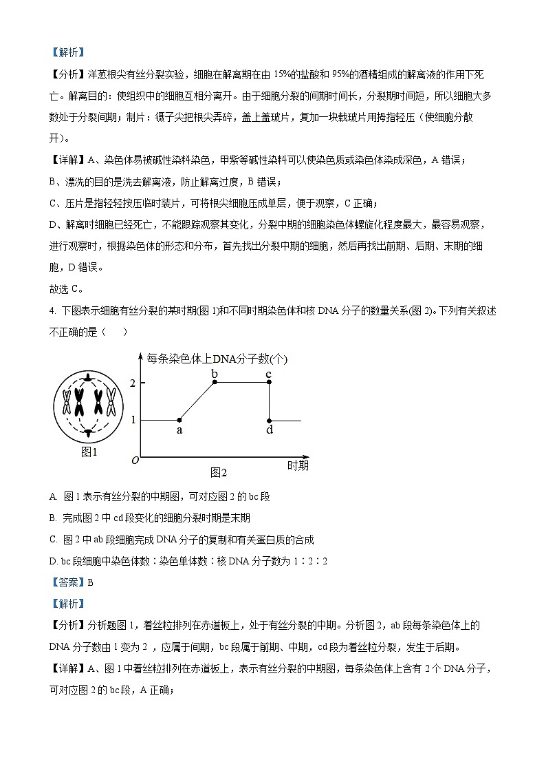 精品解析:甘肃省武威市民勤县一中2022-2023学年高一下学期期中生物试题(解析版)第3页