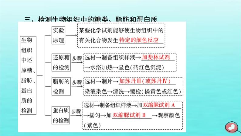 新教材2023年高中生物第2章组成细胞的分子第1节细胞中的元素和化合物（课件+夯基提能作业）新人教版必修108