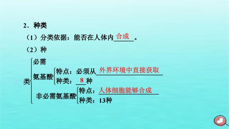 新教材2023年高中生物第2章组成细胞的分子第4节蛋白质是生命活动的主要承担者（课件+夯基提能作业）新人教版必修108