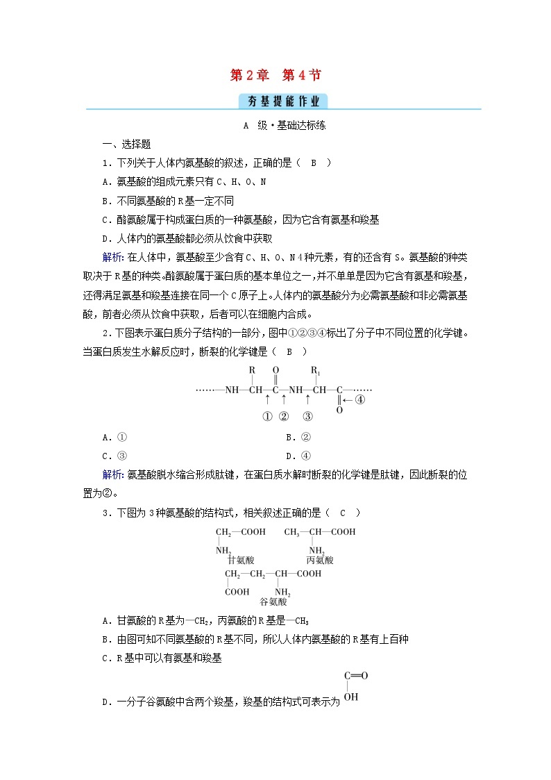 新教材2023年高中生物第2章组成细胞的分子第4节蛋白质是生命活动的主要承担者（课件+夯基提能作业）新人教版必修101