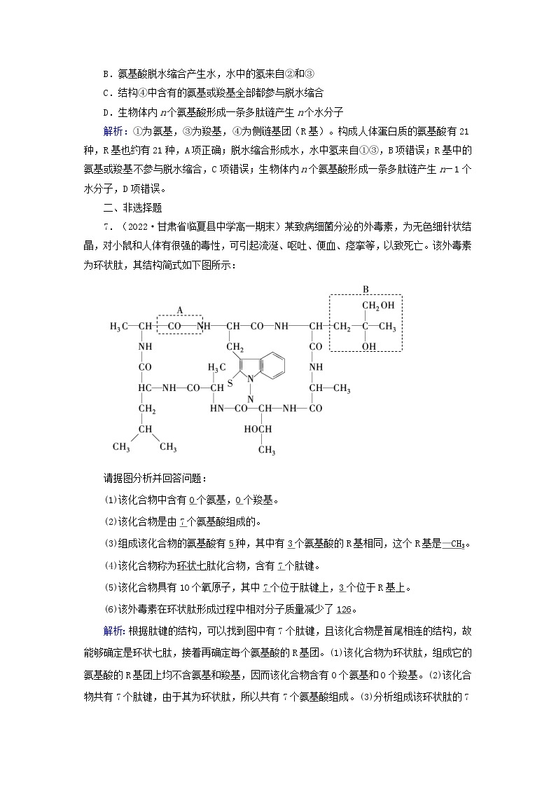 新教材2023年高中生物第2章组成细胞的分子第4节蛋白质是生命活动的主要承担者（课件+夯基提能作业）新人教版必修103