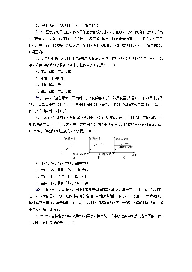 新教材2023年高中生物第4章细胞的物质输入和输出第2节主动运输与胞吞胞吐夯基提能作业新人教版必修1第2页
