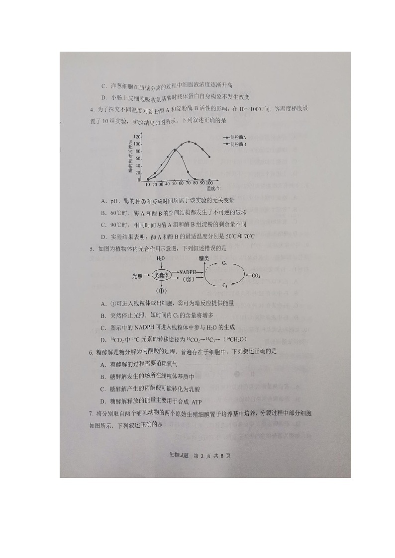 2023届陕西省渭南市高三教学质量检测(一模)生物试题第2页