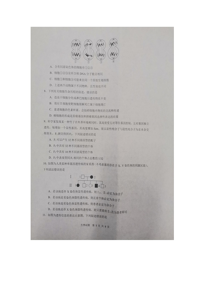 2023届陕西省渭南市高三教学质量检测(一模)生物试题第3页