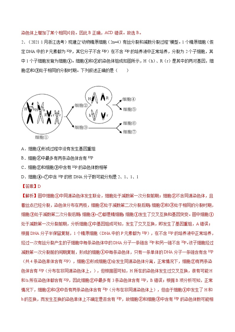 专题03 细胞的生命历程-十年（2012-2021）高考生物真题分项汇编（全国通用）（解析版）02