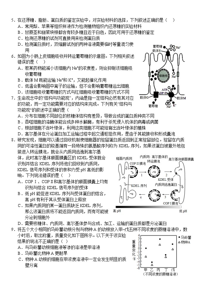 湖北省荆州市沙市区沙市中学2022-2023学年高一生物下学期5月月考试题（Word版附答案）02