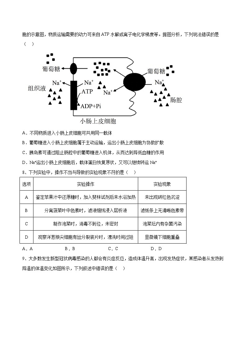 卷02【押题演练】备战2023年高考生物全真模拟押题卷(广东卷)(原卷版)第3页