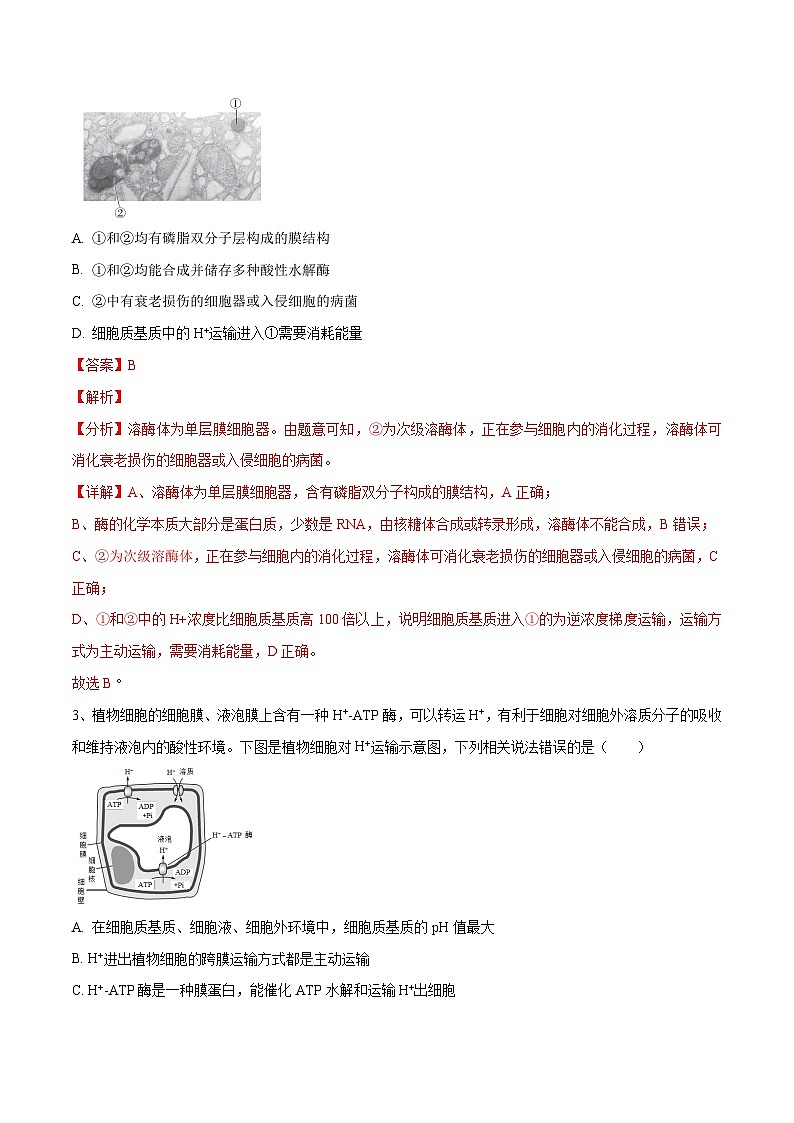 卷02【押题演练】备战2023年高考生物全真模拟押题卷(江苏卷)(解析版)第2页