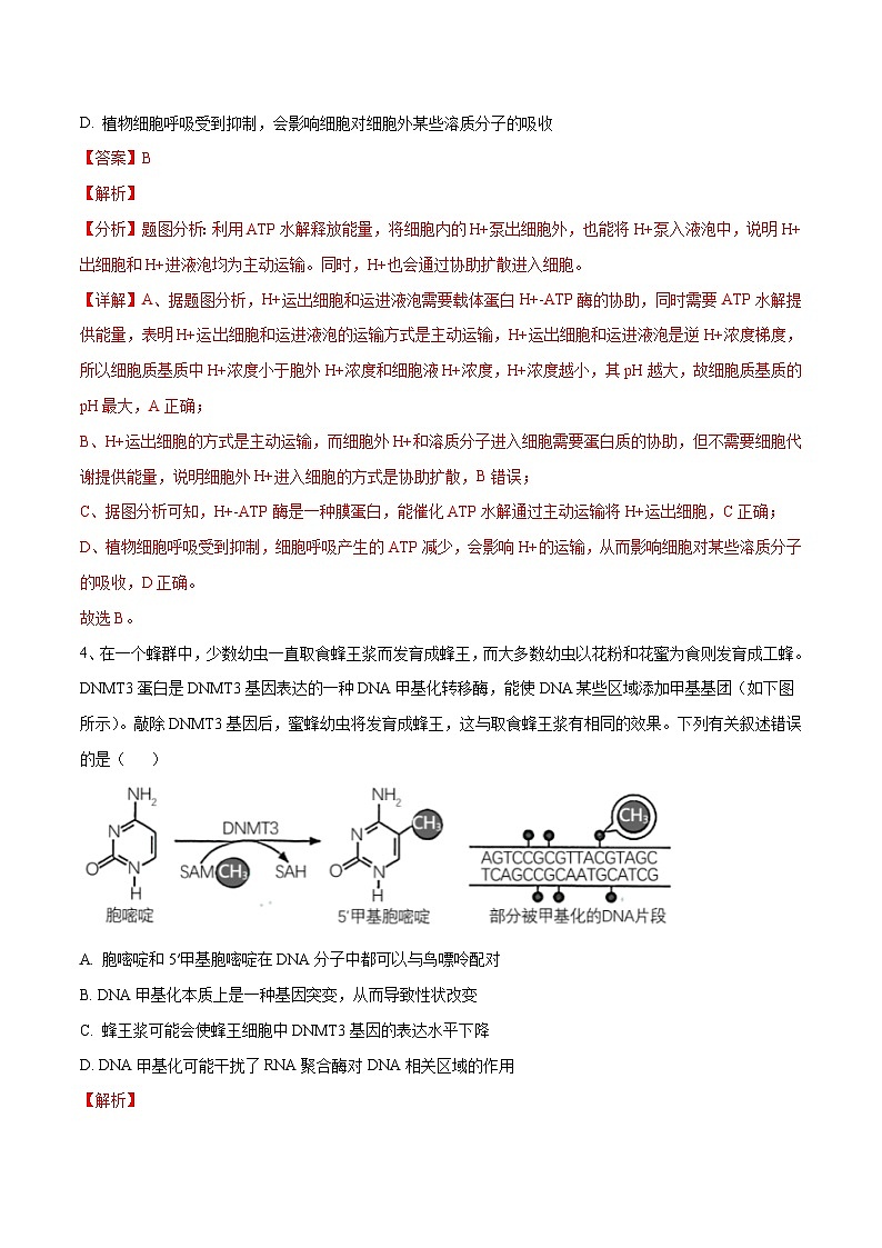 卷02【押题演练】备战2023年高考生物全真模拟押题卷(江苏卷)(解析版)第3页