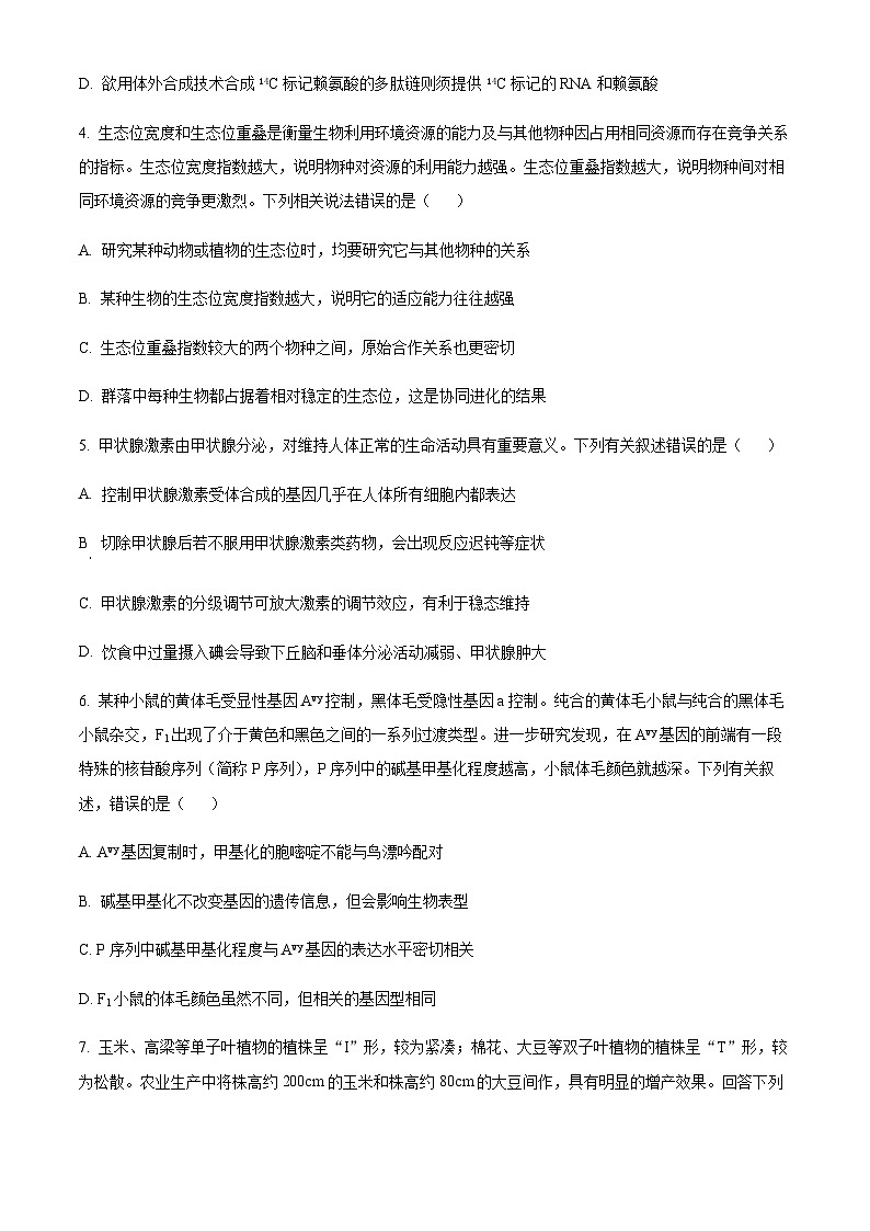 2022-2023学年安徽省阜阳市临泉一中高三下学期二模生物试题(原卷+解析版)02