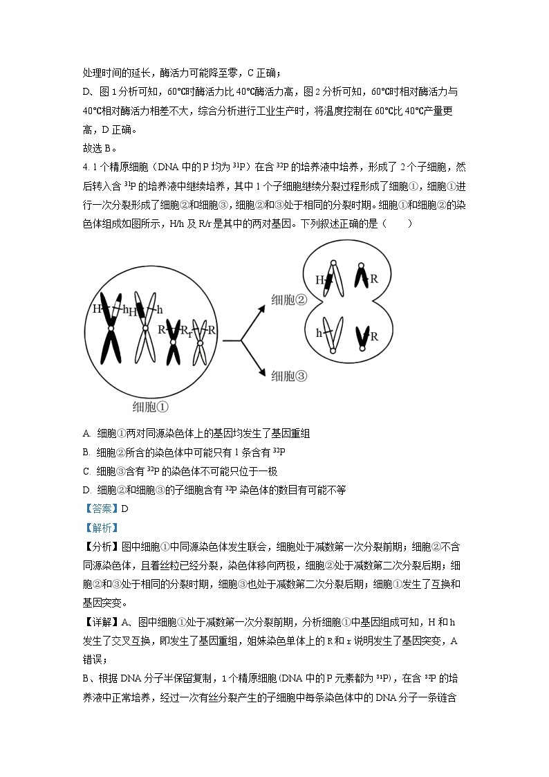 河北省衡水中学2023届高三二模生物试题（解析版）03