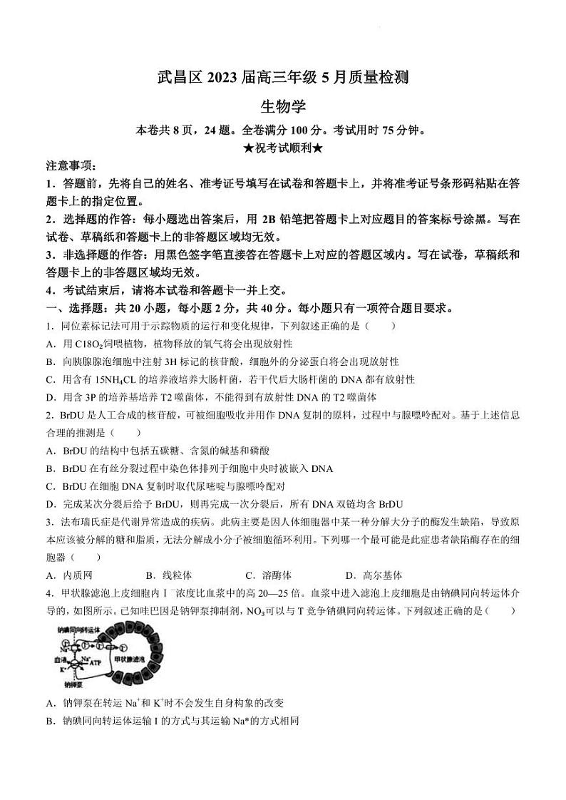 2022-2023学年湖北省武汉市武昌区高三下学期5月质量检测生物试题(PDF版)01