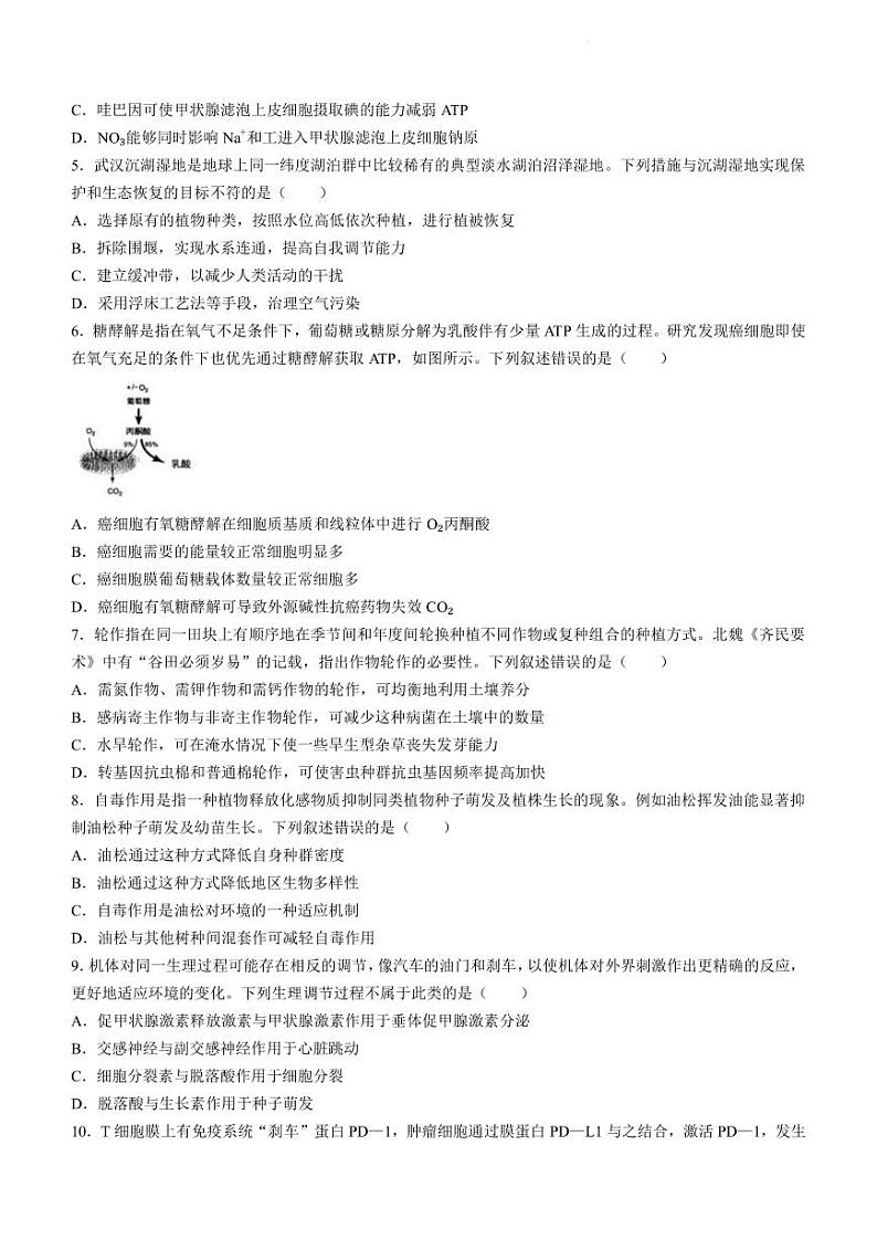 2022-2023学年湖北省武汉市武昌区高三下学期5月质量检测生物试题(PDF版)02