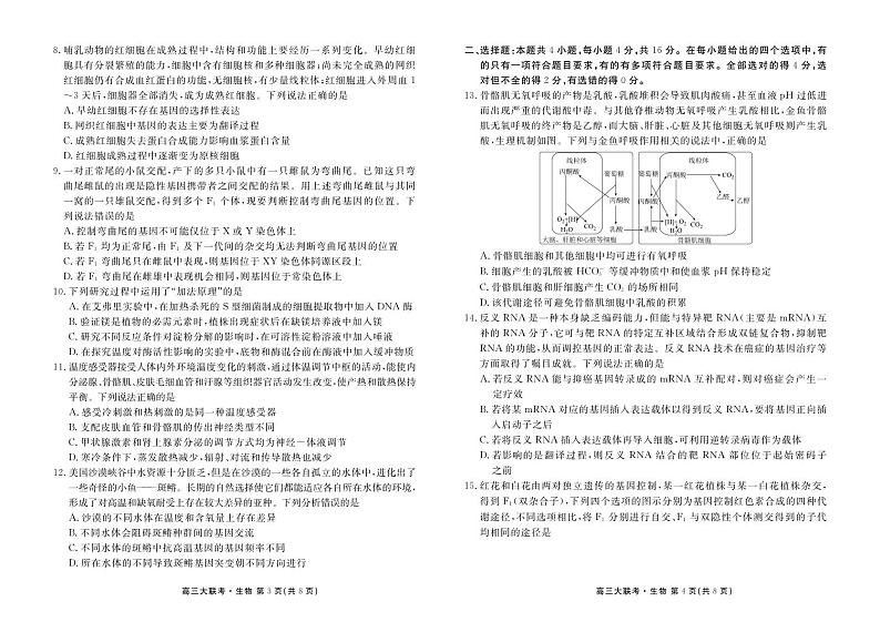 2023届湖南省衡水金卷先享联盟 高三上学期11月联考试题 生物 PDF版02